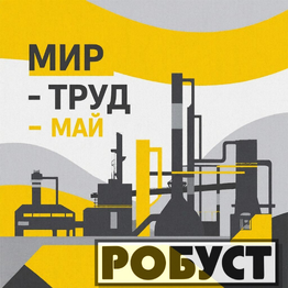 Робуст Групп
